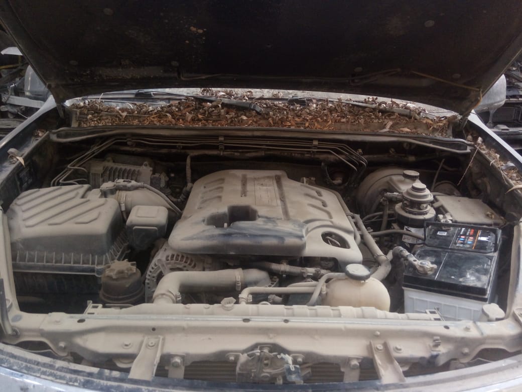 Motor Foton TERRACOTA  USADO